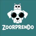 zoorprendo.com